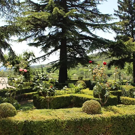 Corte Spinosa-3